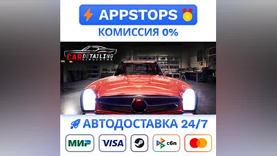 ️ Car Detailing Simulator Steam Gift   AUTO   RU CIS
