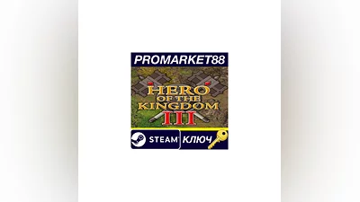 Hero of the Kingdom III Steam Key   GLOBAL
