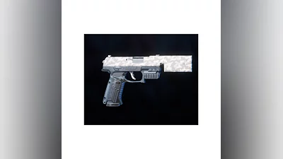 Rogue Company Nuclear Winter Secondary Wrap Gun Skin