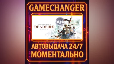 Pillars of Eternity II: Deadfire ️AUTO STEAM GIFT 24/7