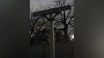 Pineview Drive Steam CD Key (Global)