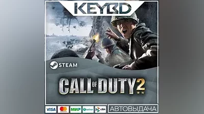 Call of Duty 2 · Steam Gift AUTO Cards