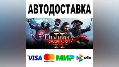Divinity: Original Sin 2 AUTODELIVERY STEAM RU