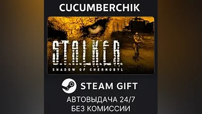 STALKER: Shadow of Chernobyl STEAM GIFT AUTO RU+World