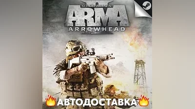 Arma 2: Operation Arrowhead - STEAM RU / AUTO