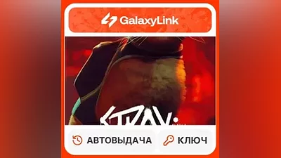 Stray - STEAM KEY CIS + RU