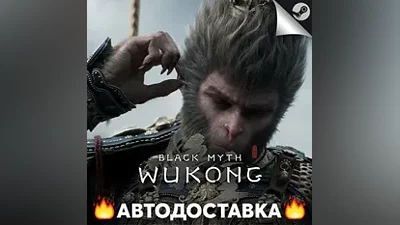 Black Myth: Wukong - STEAM RU / Select region AUTO