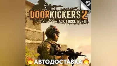 Door Kickers 2: Task Force North - STEAM RU AUTO