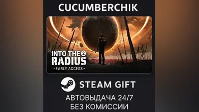 Into the Radius 2 STEAM GIFT AUTO RU+World