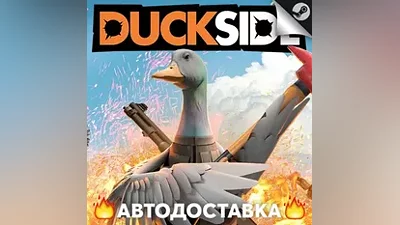 Duckside - STEAM RU / Select region AUTO