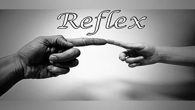 Reflex Bundle