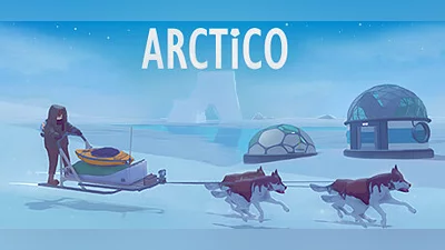 Arctico Bundle
