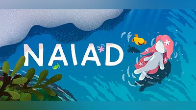 NAIAD Bundle
