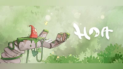 Hoa Bundle