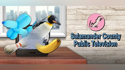 Salamander County Public Television Bundle