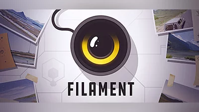 Filament Bundle