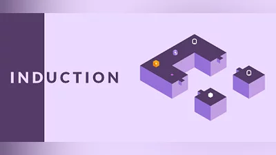 Induction Bundle