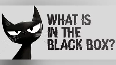 What is in the Black Box? Bundle