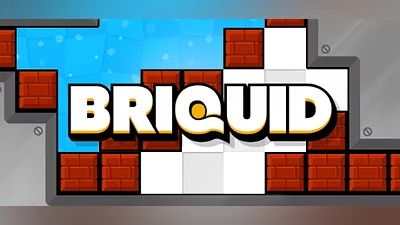 Briquid Bundle