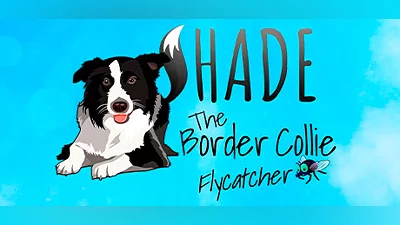 SHADE The Border Collie Flycatcher Bundle