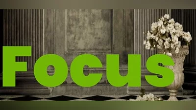 Focus Bundle