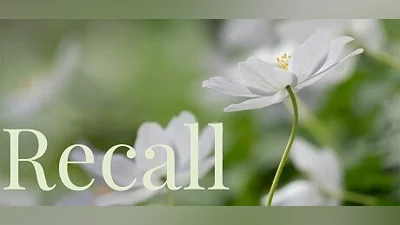 Recall Bundle