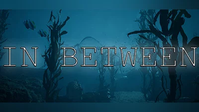 In Between Bundle
