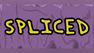 Spliced Bundle