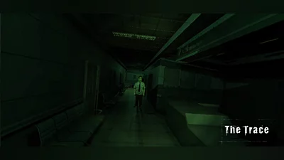 The Trace Bundle