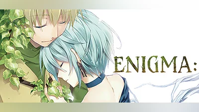 ENIGMA: Demo Bundle