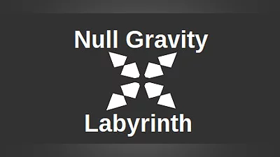 Null Gravity Labyrinth Bundle