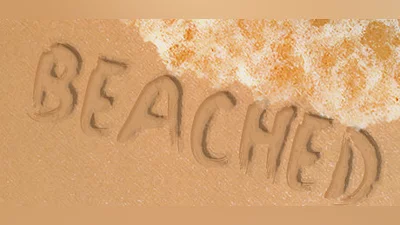 Beached Bundle