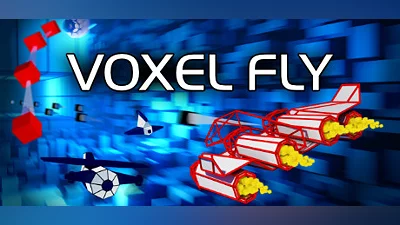 Voxel Fly Bundle