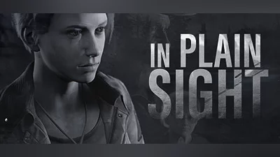 In Plain Sight Bundle