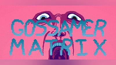 Gossamer Matrix Bundle