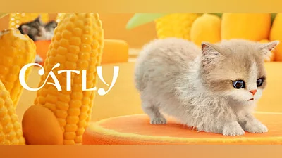 Catly Bundle