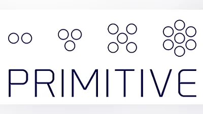 Primitive Bundle