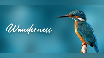 Wanderness Bundle