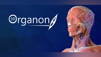 3D Organon Bundle