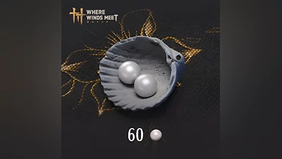 Where Winds Meet - 60 Echo Beads