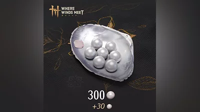 Where Winds Meet - 300 Echo Beads