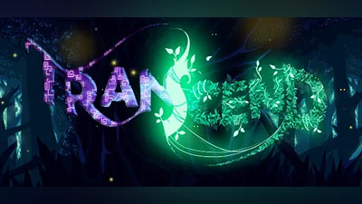 TRANSCEND Bundle