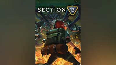 Section 13 (pc)