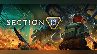 Section 13