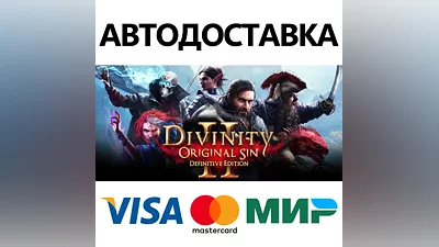Divinity: Original Sin 2 * STEAM RU AUTO