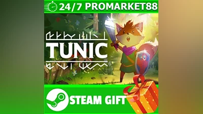 ALL COUNTRIES TUNIC STEAM GIFT