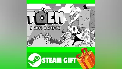 ALL COUNTRIES TOEM STEAM GIFT
