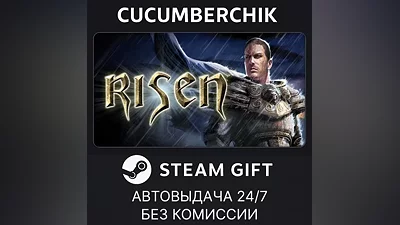 Risen STEAM GIFT AUTO RU+World