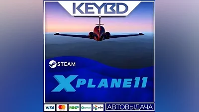 X-Plane 11 · Steam Gift AUTODELIVERY