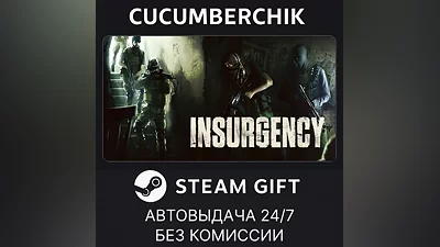Insurgency STEAM GIFT AUTO RU+World
